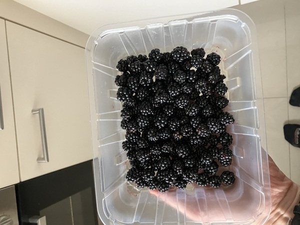 Blackberries, from the roadside in the Otto-Preminger-Straße